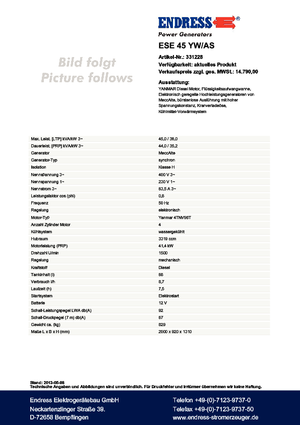 Diesel Power Generators Endress ESE 45 YW/AS 
