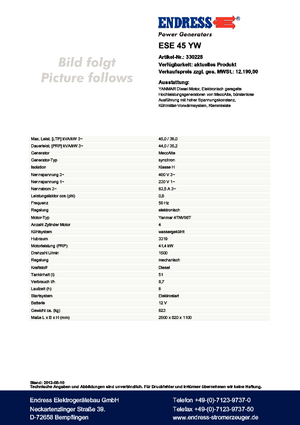 Diesel Power Generators Endress ESE 45 YW 