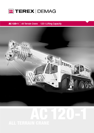 Arazi vinçleri Terex-Demag AC 120-1 (10x8x8)