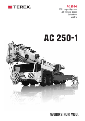 All-terrain Cranes Terex-Demag AC 250-1 (12x8x10)