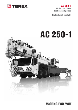 All-terrain Cranes Terex-Demag AC 250-1 (12x8x10)