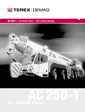 All-terrain Cranes Terex-Demag AC 250-1 (12x8x10)