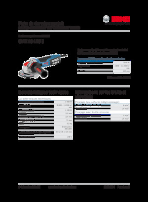Angle Grinders Bosch GWX 19-125 S