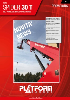Paletli Teleskopik Bomlu Vinçler Platform Basket SPIDER 30 T