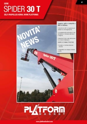 Paletli Teleskopik Bomlu Vinçler Platform Basket SPIDER 30 T