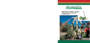 Ahşap parçalayıcılar Pezzolato H 780/200