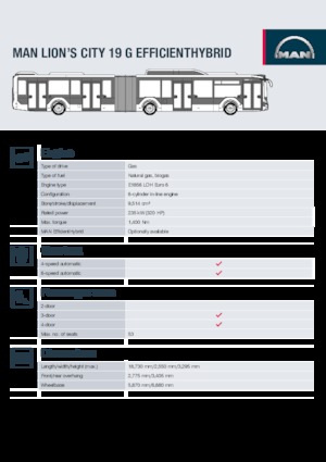 City buses MAN Lion’s City 19 G