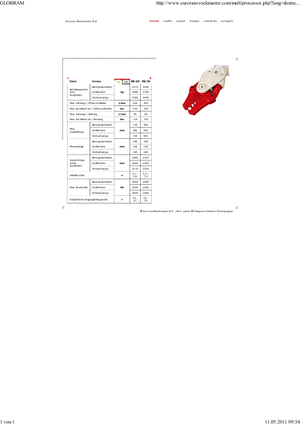 Çoklu işlemciler Globram RM330