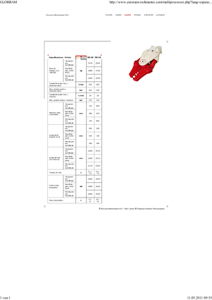 Multi-processors Globram RM330