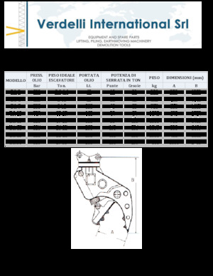 Concrete Pulverizers Verdelli D.I. 13
