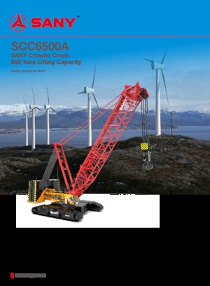 Paletli vinçler - kafes patlaması Sany SCC6500A