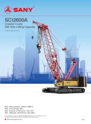 Paletli vinçler - kafes patlaması Sany SCI2600A