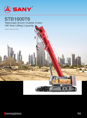 Paletli vinçler - teleskopik bom Sany STB1600T6