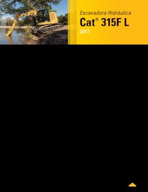 Paletli ekskavatörler Caterpillar 315F L