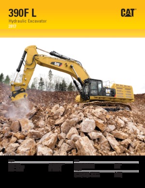 Crawler Excavators Caterpillar 390F L