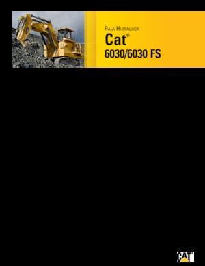 Crawler Excavators Caterpillar 6030 FS