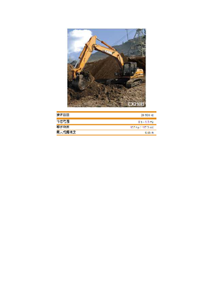 Paletli ekskavatörler Case CX 210 B LC