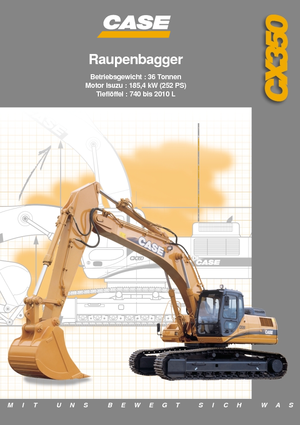 Paletli ekskavatörler Case CX 350