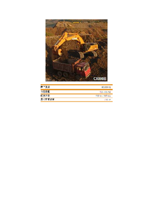 Paletli ekskavatörler Case CX 800 B