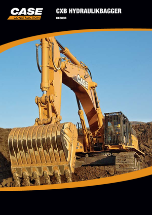 Paletli ekskavatörler Case CX 800 B