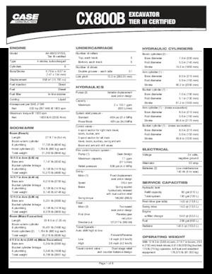 Paletli ekskavatörler Case CX800B