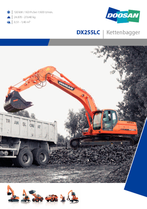Paletli ekskavatörler Doosan DX 255 N LC