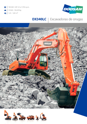 Paletli ekskavatörler Doosan DX 340 LC