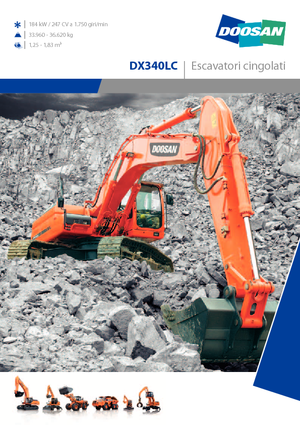 Paletli ekskavatörler Doosan DX 340 LC