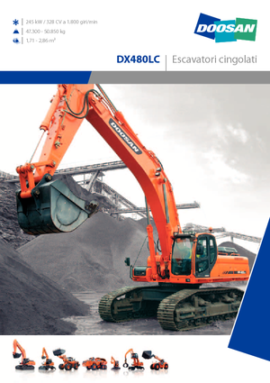 Paletli ekskavatörler Doosan DX 480 LC