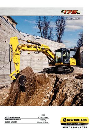 Paletli ekskavatörler New Holland E175C LC