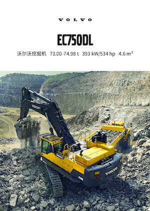 Paletli ekskavatörler Volvo EC750DL