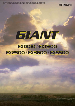 Crawler Excavators Hitachi EX 1200-6