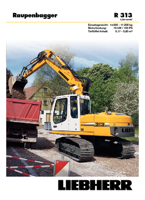 Paletli ekskavatörler Liebherr R 313 Litronic