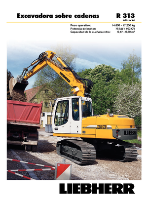 Paletli ekskavatörler Liebherr R 313 Litronic