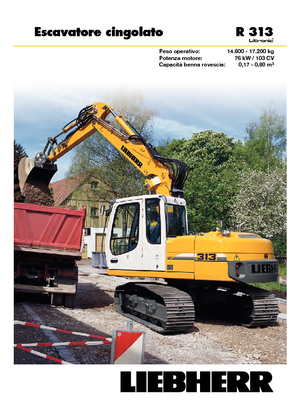 Paletli ekskavatörler Liebherr R 313 Litronic