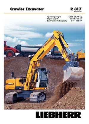 Crawler Excavators Liebherr R 317 Litronic