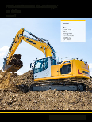 Paletli ekskavatörler Liebherr R 924 Litronic 