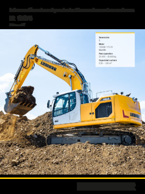 Paletli ekskavatörler Liebherr R 924 Litronic 