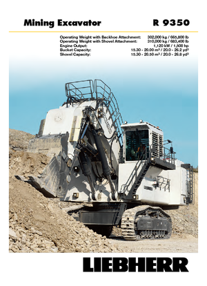 Crawler Excavators Liebherr R 9350 