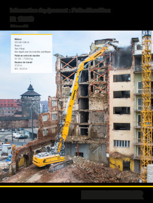 Paletli ekskavatörler Liebherr R 950 Demolition Litronic 