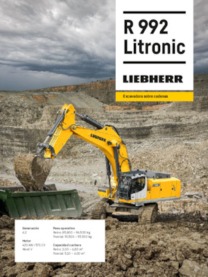 Paletli ekskavatörler Liebherr R 992 Litronic 