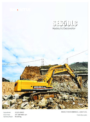 Paletli ekskavatörler Shantui SE650LC 