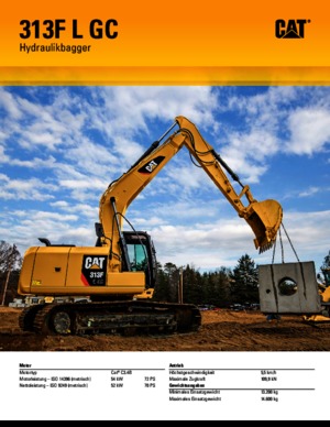 Paletli ekskavatörler Caterpillar 313F L GC