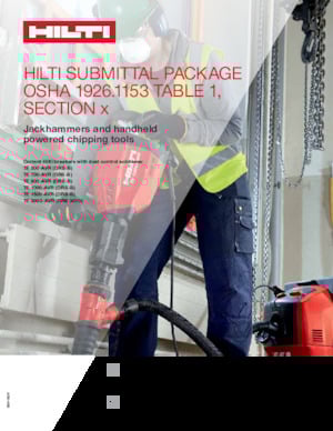 Demolition Hammers & Breakers Hilti TE 800-AVR