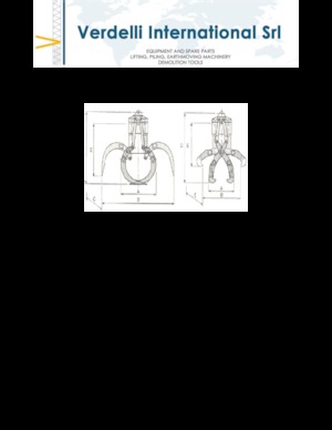 Yıkım sıralama kepçeler Verdelli F.E.E. /25