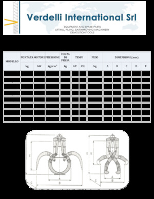 Demolition Sorting Grabs Verdelli F.E.E. /25