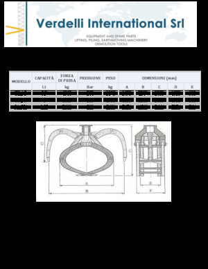 Demolition Sorting Grabs Verdelli F.I. /10
