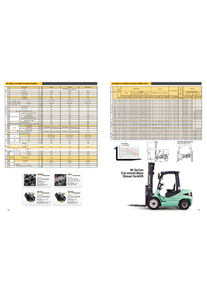 Diesel Forklifts Maximal FD 30 T-M2GF3