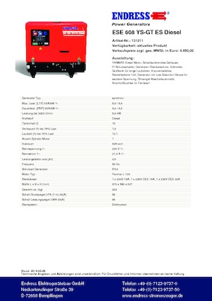 Gasoline Power Generators Endress ESE 608 YS-GT ES DI