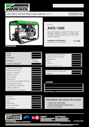 Diesel Power Generators INMESOL AKD-1000-E